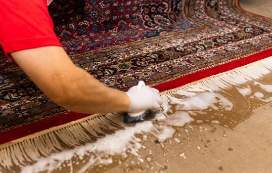 asiantraderug-rug-cleaning-brushtatrmvl-493f686b.jpeg